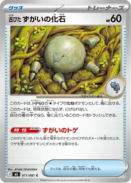 Antikes Kopffossil