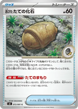 Antikes Panzerfossil