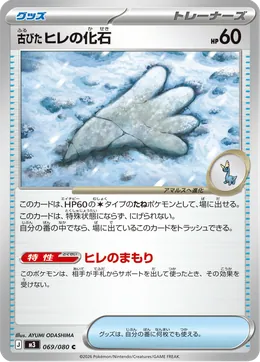 Antikes Flossenfossil
