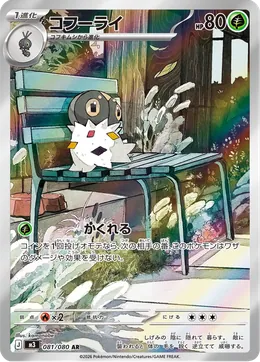 Puponcho