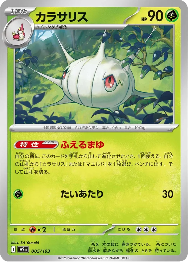 Schaloko
