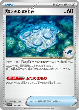 Antikes Schildfossil