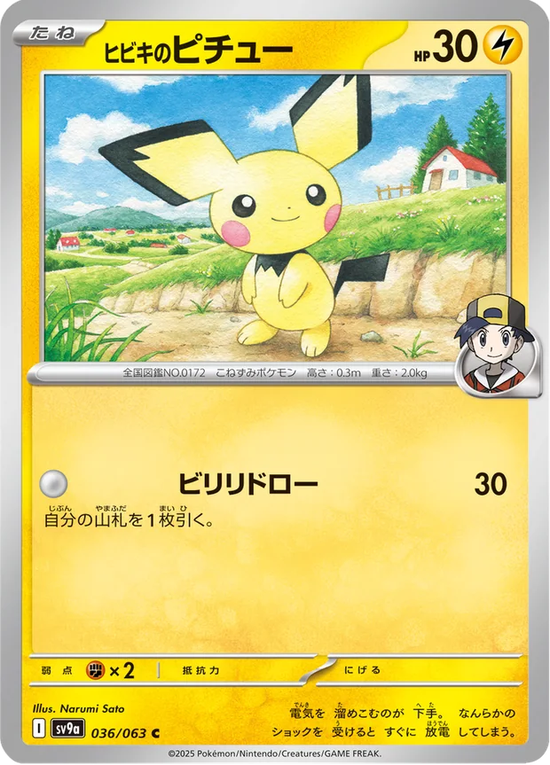 Ethans Pichu
