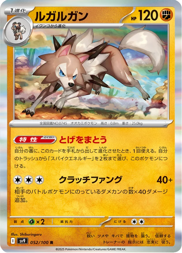 Wolwerock