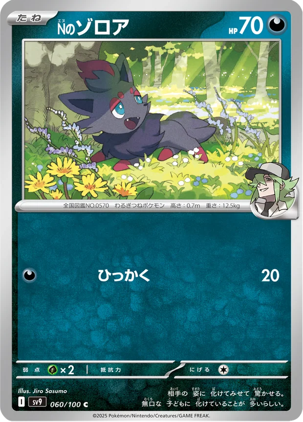 Ns Zorua