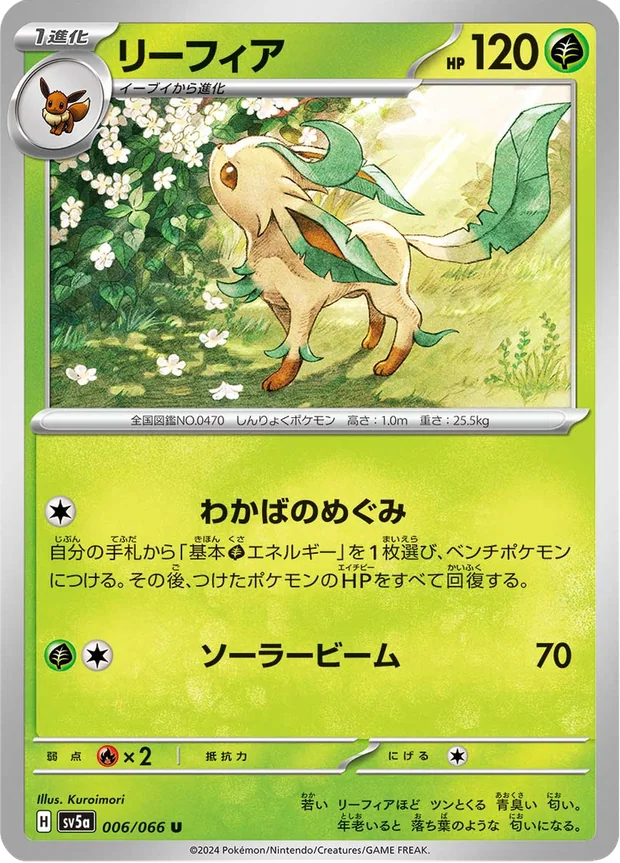 Folipurba