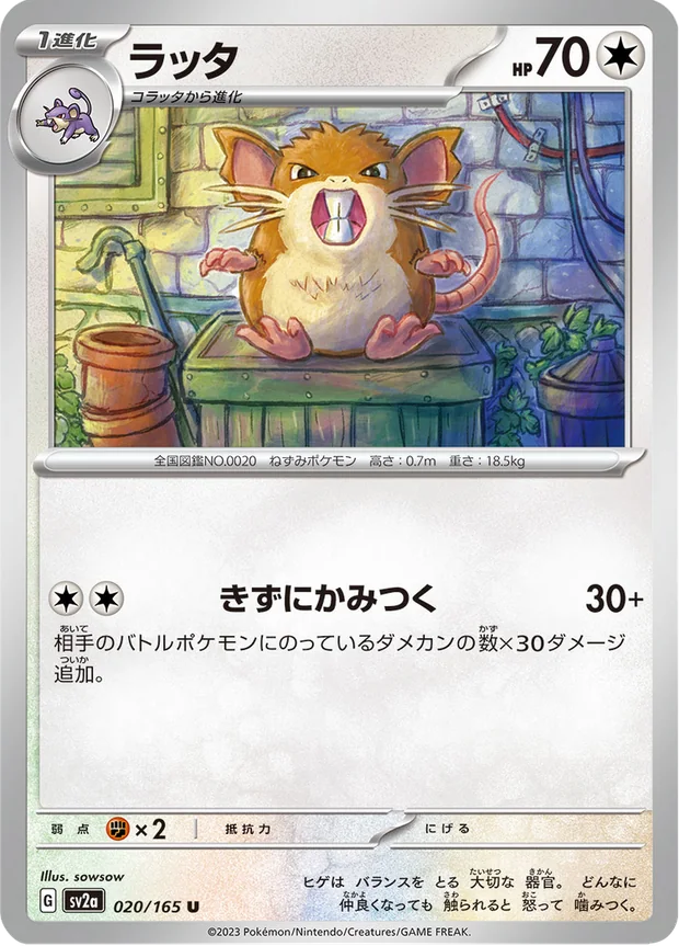 Rattikarl