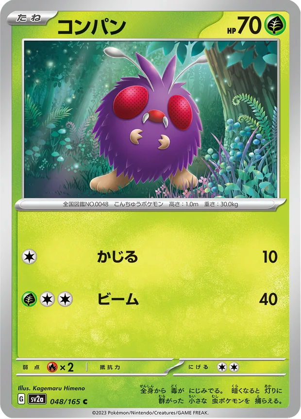 Bluzuk