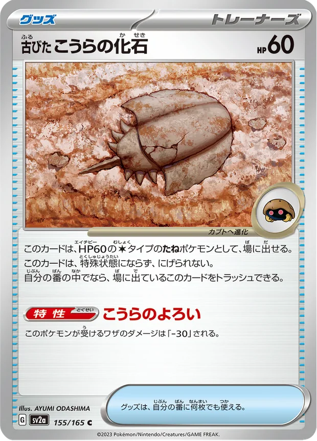 Antikes Domfossil