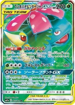 Venusaur Snivy GX