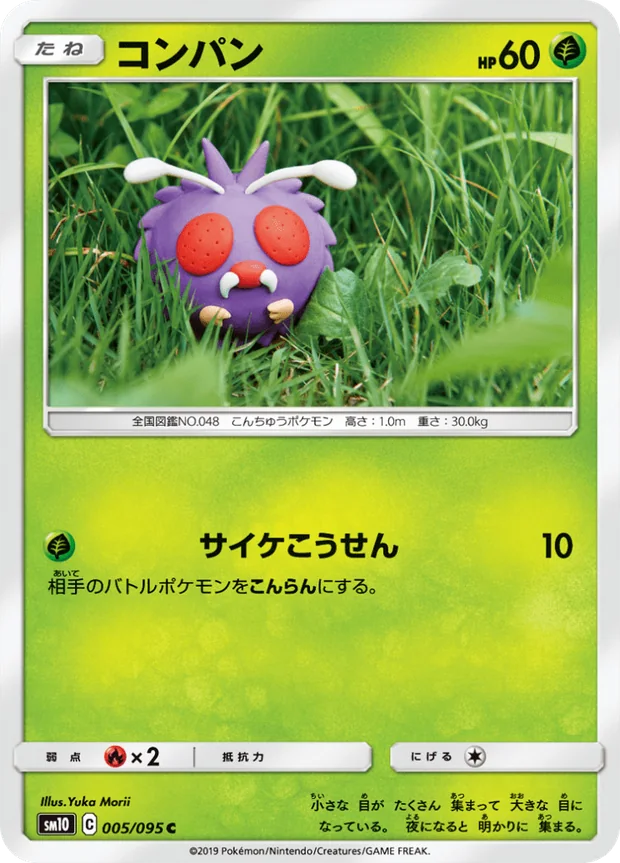 Bluzuk