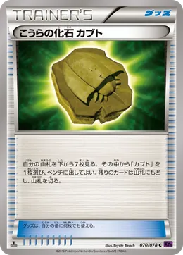 Kabutos Domfossil