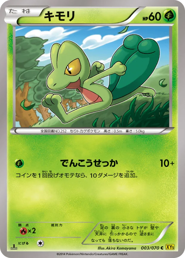 Geckarbor