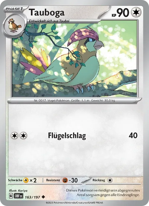 Tauboga