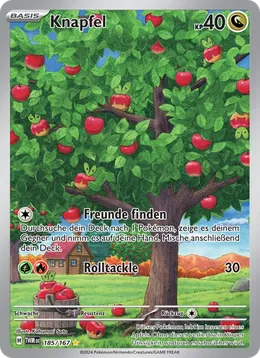 Knapfel