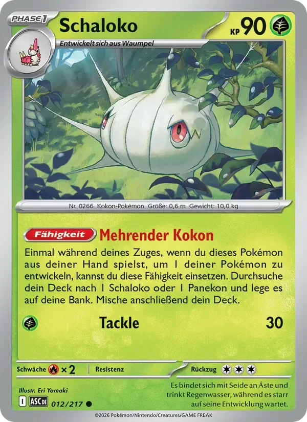 Schaloko