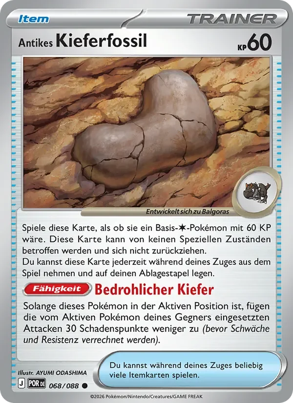 Antikes Kieferfossil