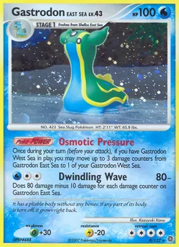 Gastrodon Östliches Meer
