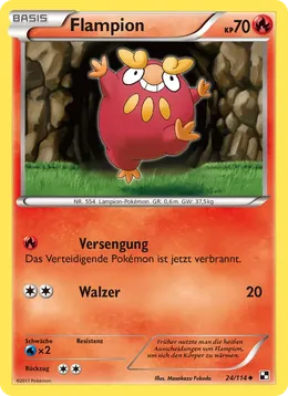 Flampion